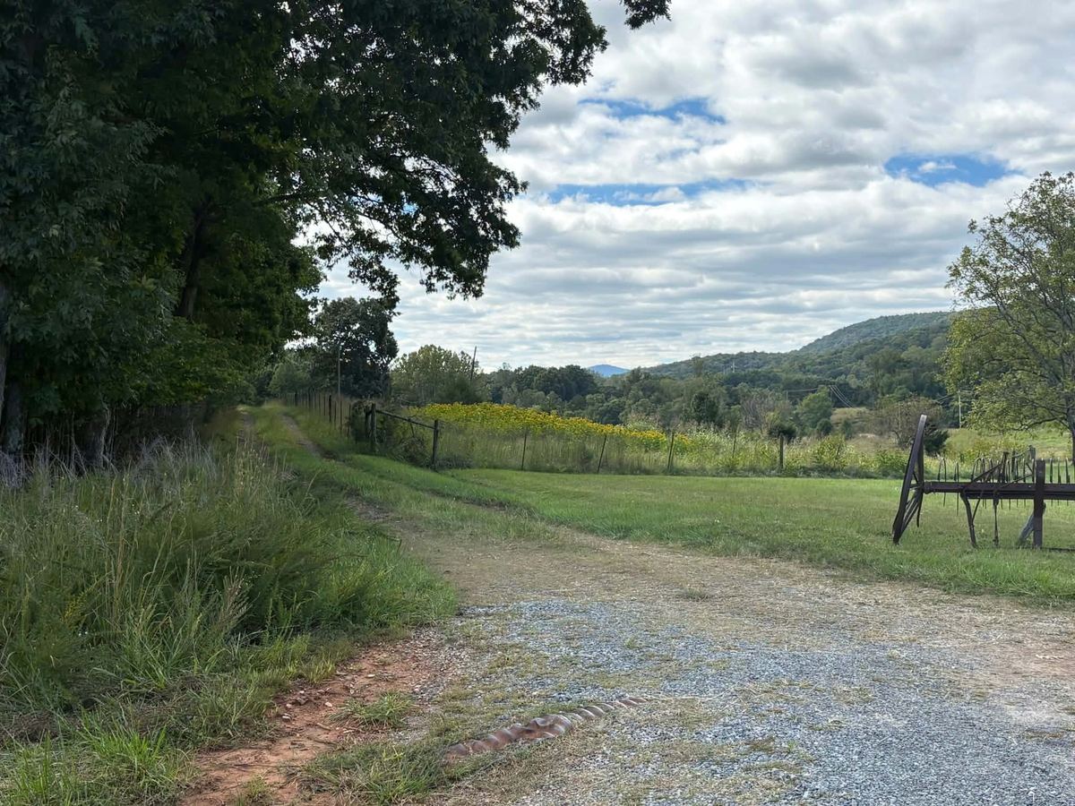 A gravel driveway runs beside a fenced pasture with goldenrod and a ridge line in the distance.